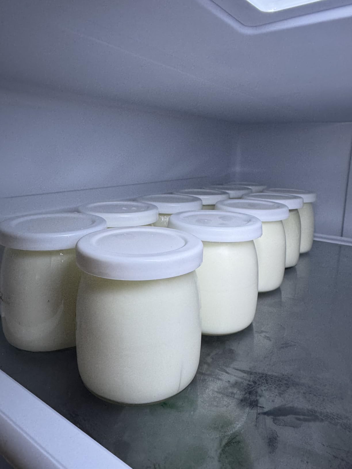 Yogurt Maker 6 Jars with Temp & Timer Control for Probiotic | ±2°F Precision Probe | 48H Timer & Auto-Off | BPA-Free Glass Jars | Homemade Healthy Lifestyle| Easy Clean & Storage customer photo 2