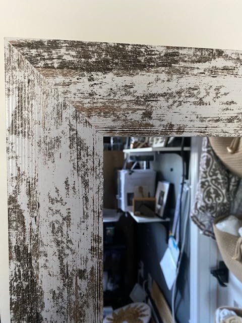 Syndra Modern Full Length Mirror Wood Frame, 56x20