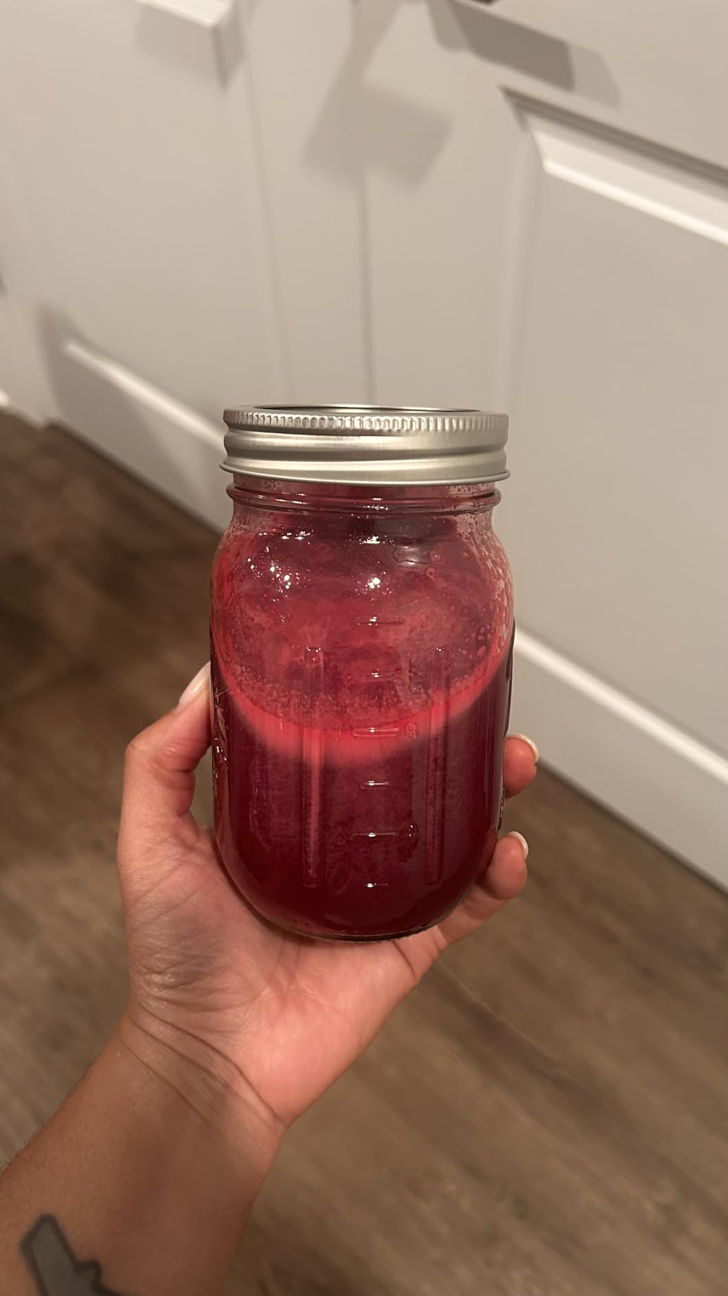 3-in-1 Cold Press Juicer Machines, 6.5