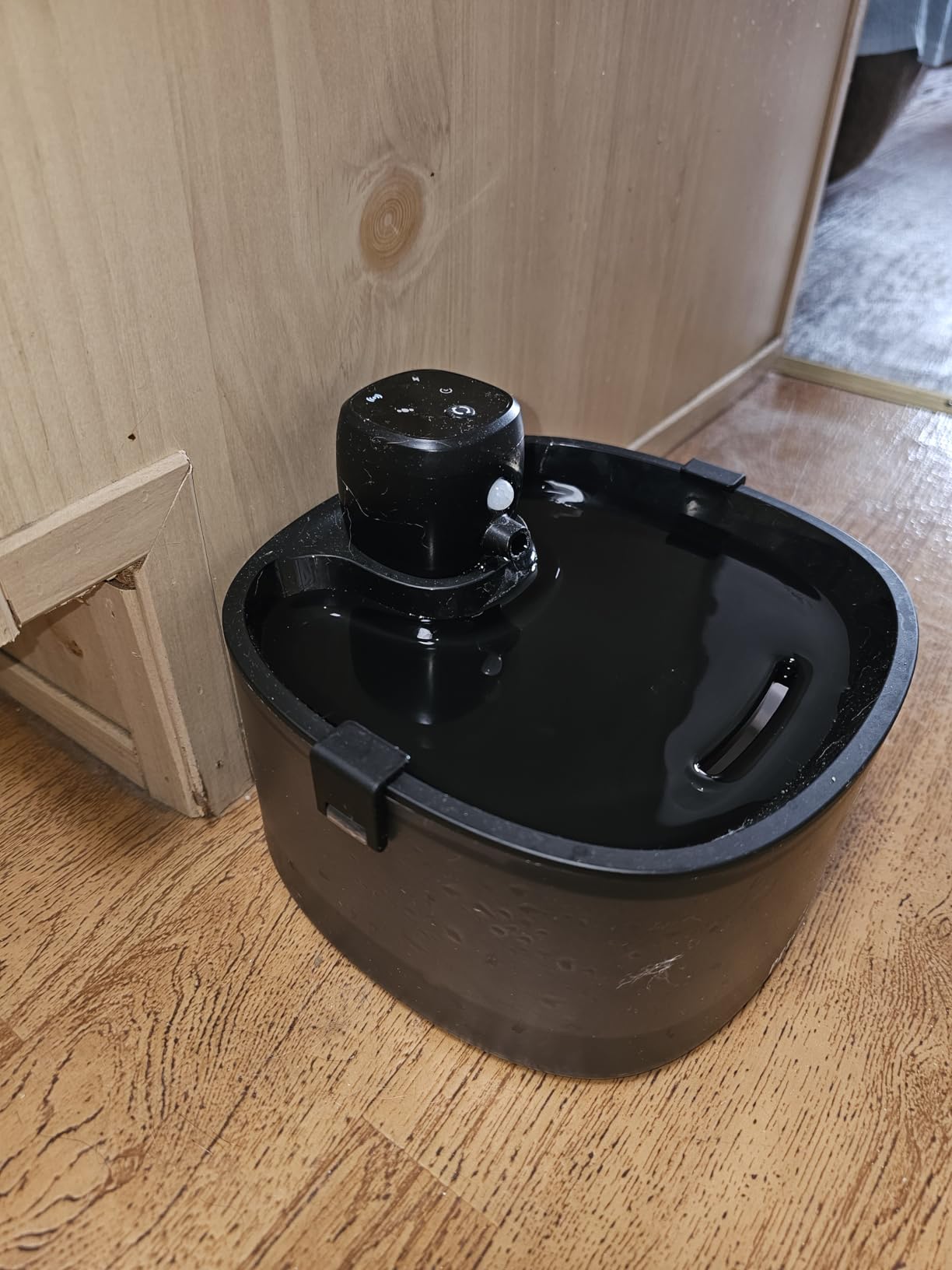 PETUNO Cordless Cat Water Fountain 78oz Motion Sensor customer photo 1