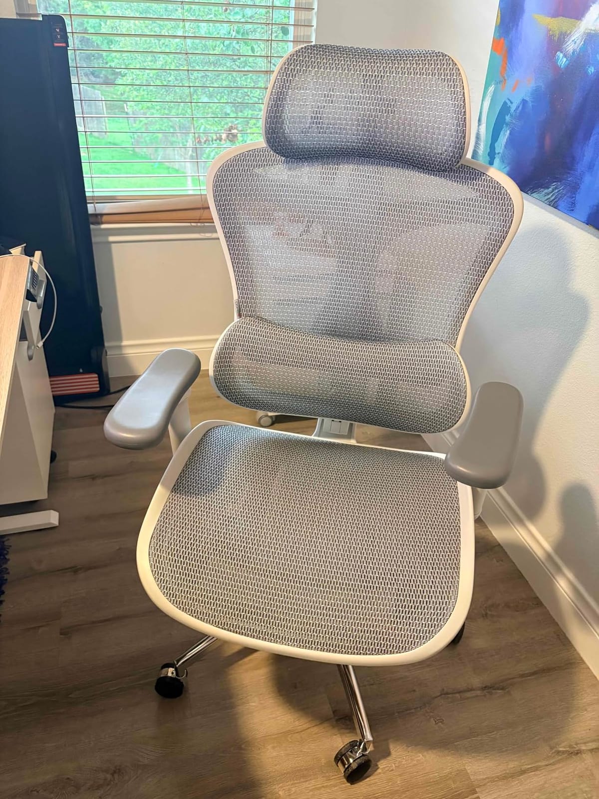 SIHOO Doro C300 Pro V2 Ergonomic Office Chair with Footrest, Grey | Full-Body Adaptive Support, 8D Armrests & Breathable Mesh, Comfy High Back Computer Desk Chair for Long Hours, 135° Recline customer photo 1