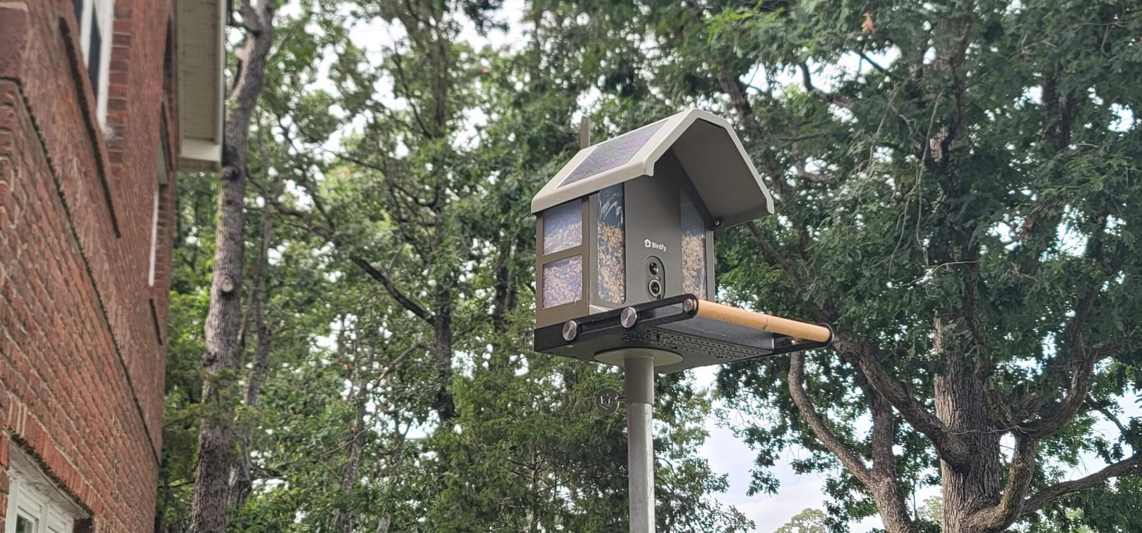 Smart Bird Feeder with Camera, 4K UHD Video, Dual-Band 2.4/5GHz Wi-Fi, Lifetime Free AI Bird ID & No Subscription, Solar Powered, Chew-Resistant Metal, Weather-Resistant for Outdoors customer photo 2