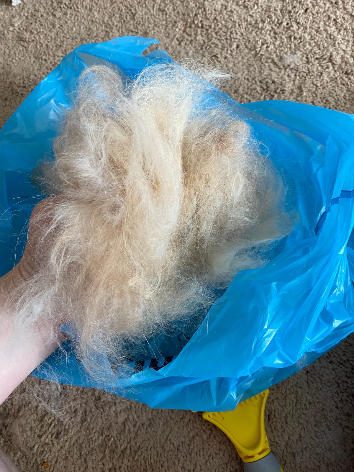 Pecute Self-Cleaning Undercoat Rake for Dogs Cats with Thick Double Coats | 1-click clean, 304SS, 18 rounded teeth, For seasonal heavy shedding & matting, Gentle on pets, Ideal for long/dense coats customer photo 2