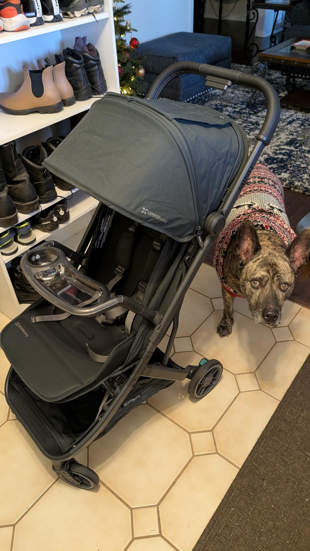 UPPAbaby Minu V3 Travel Stroller - Lightweight & Compact - James | Lightweight at 16 lbs, fits in overhead bins, able to be used from birth, large basket holds up to 20 lbs customer photo 2