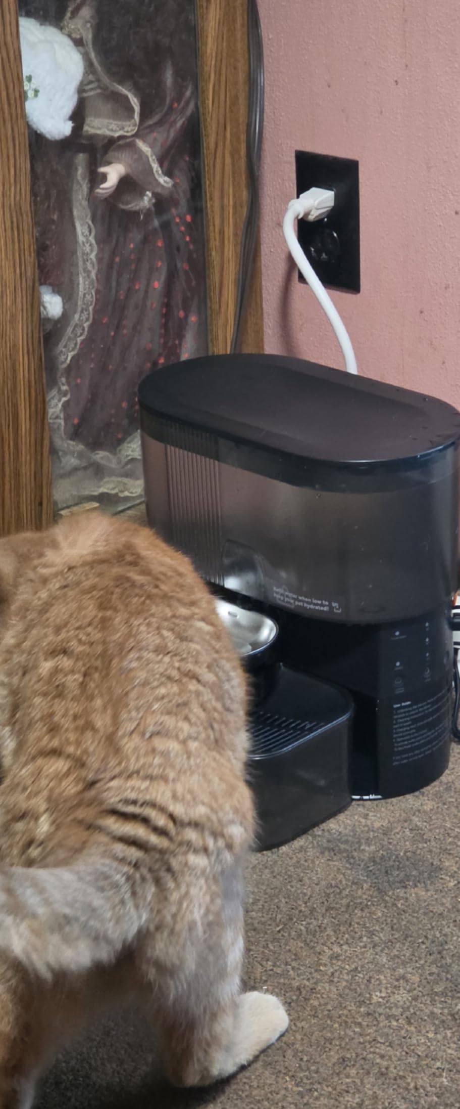 FEELNEEDY Wireless Cat Water Fountain Filterless 3.5L customer photo 2
