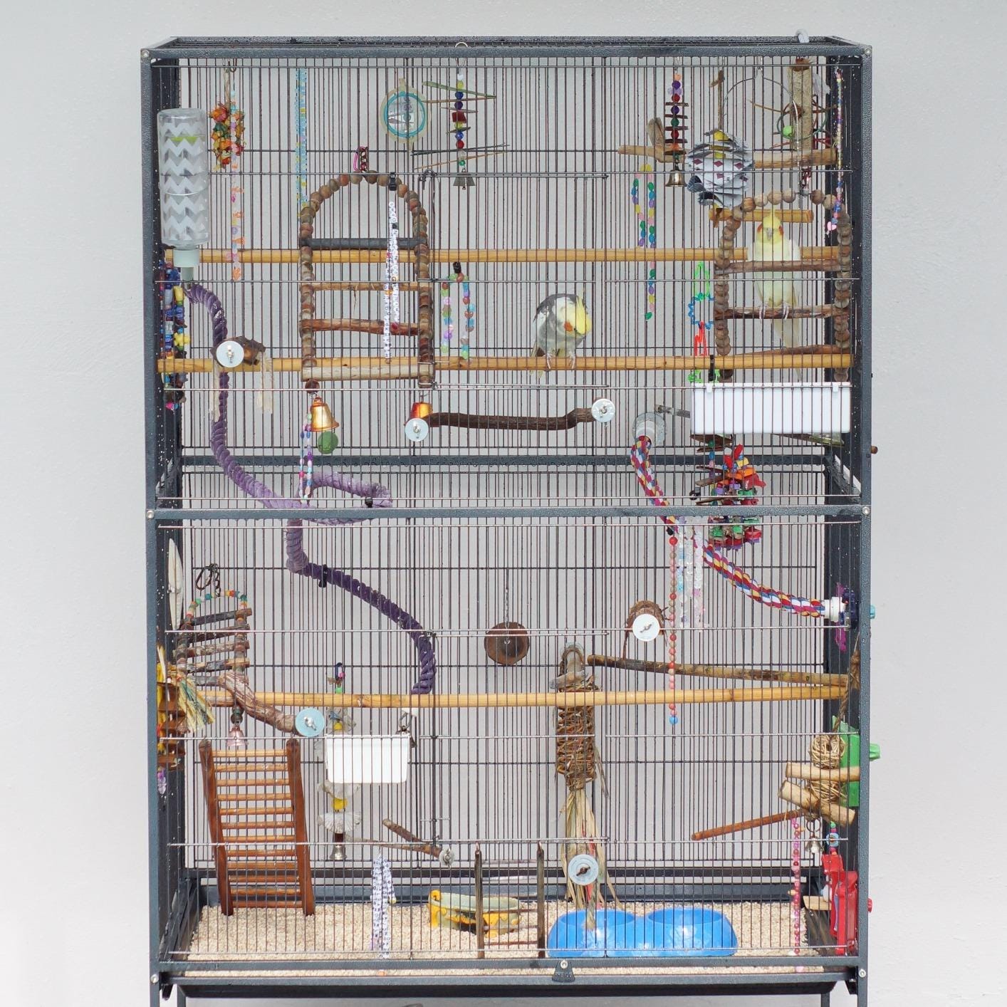 Prevue Hendryx Pet Products Wrought Iron Flight Cage - Big Rolling Bird Cage for Parakeets, Cockatiels, Conures, Lovebirds, Canaries, Finches, Parrotlets, & Caiques, 5 Ft - X-Large, Hammertone Black customer photo 1