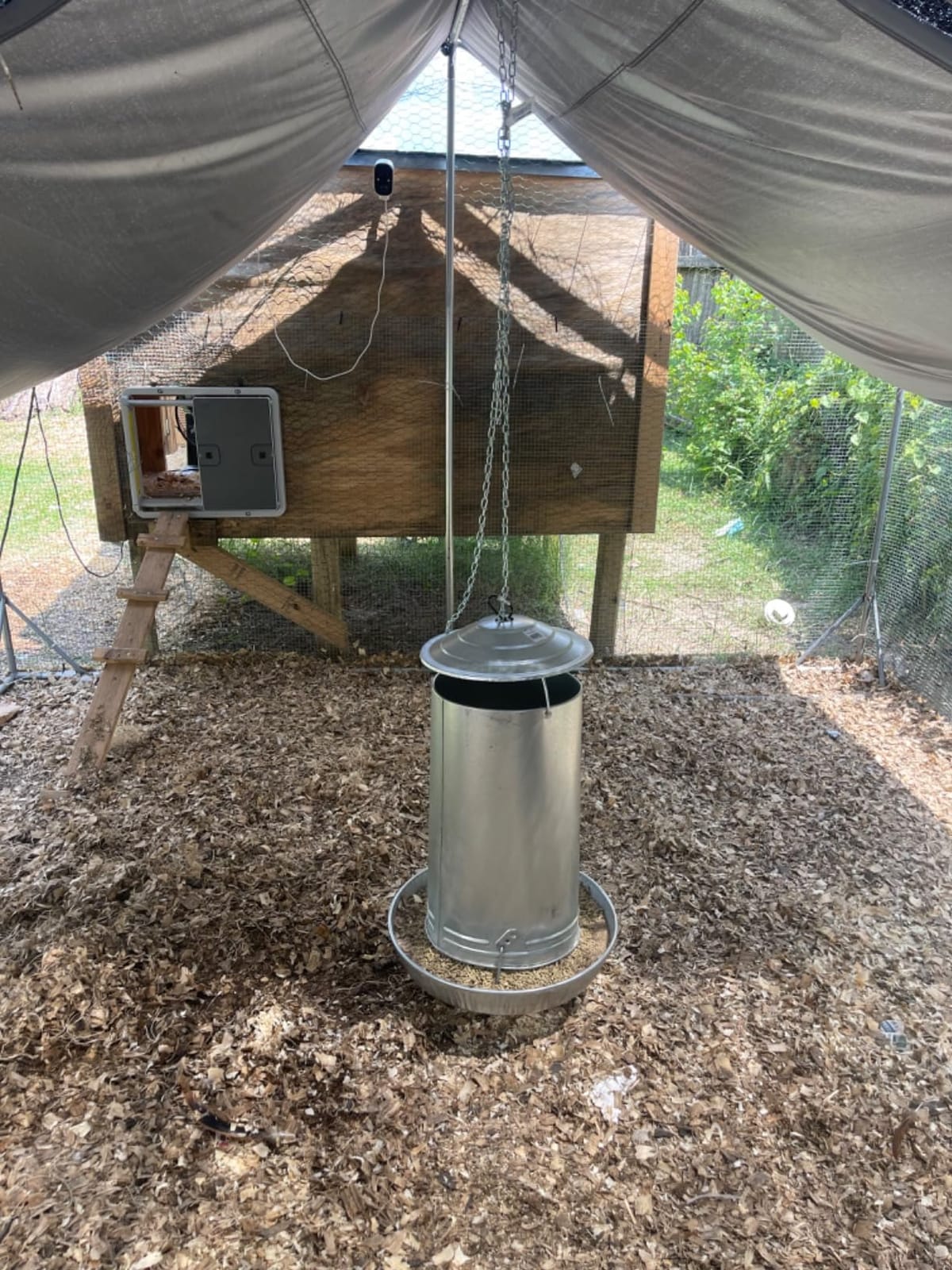 Hanging Poultry & Gamebird Feeder with Feed Pan, 30 Lb Galvanized Steel customer photo 1