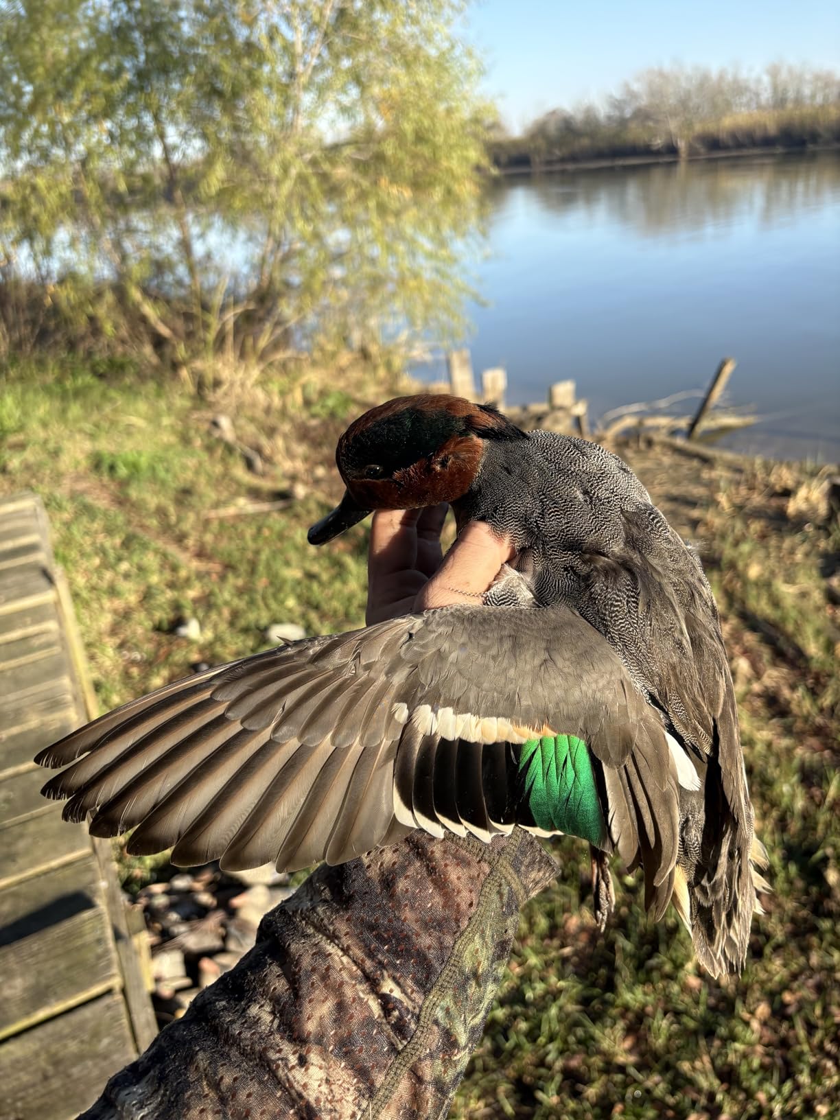Primos Hunting Duck Call 838, High Roller customer photo 1