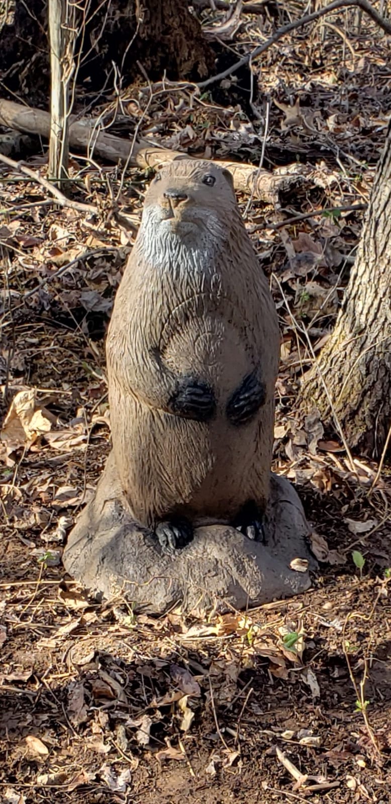 Delta McKenzie Back yd 3D Woodchuck Target, Brown customer photo 1