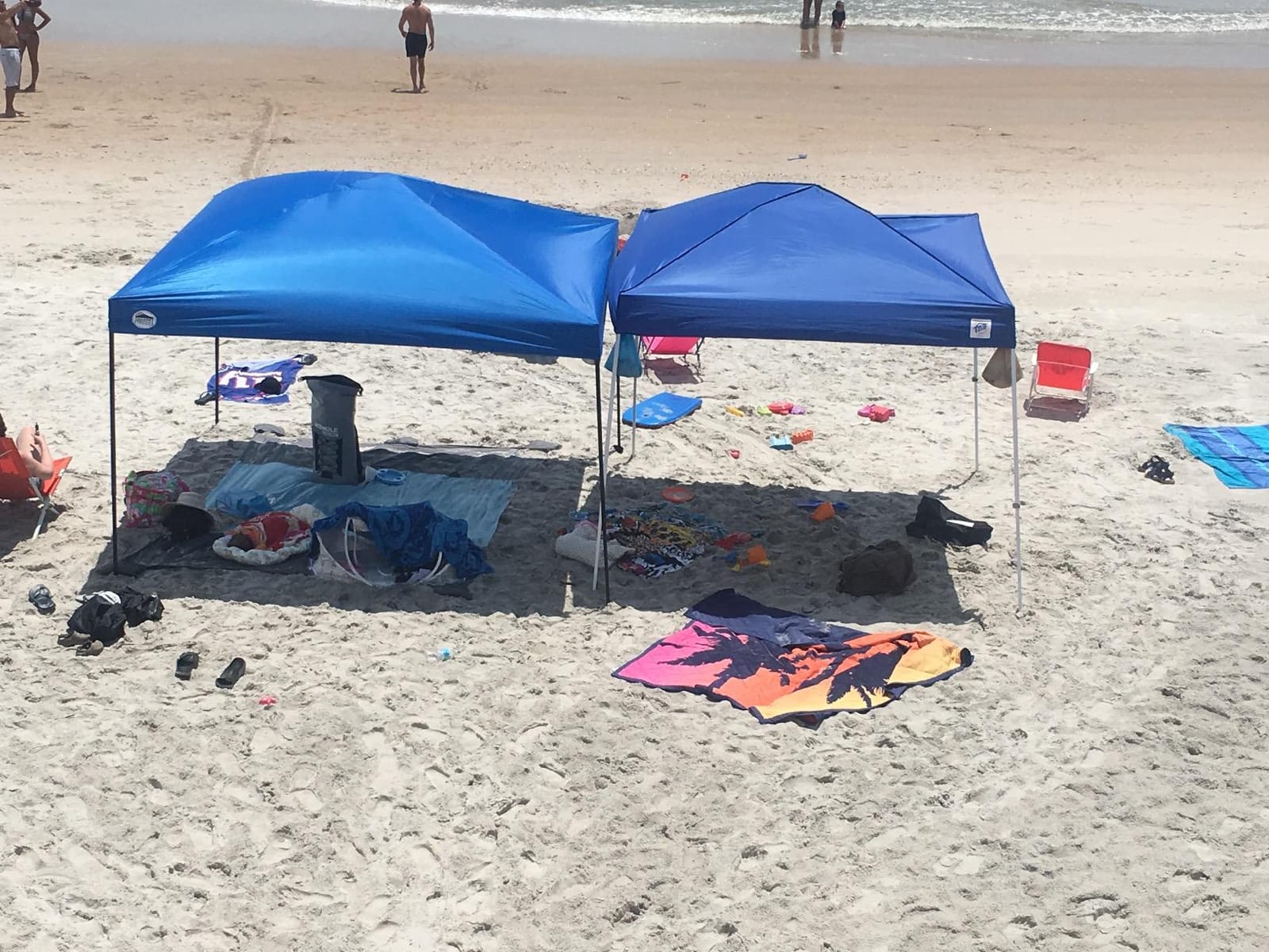 E-Z UP Sierra II Instant Pop Up Outdoor Canopy 10' x 10', Roller Bag and 4 Piece Spike Set, Royal Blue customer photo 1