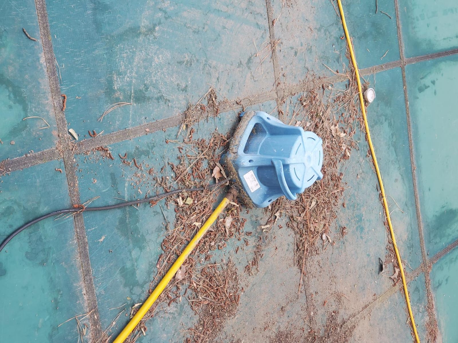 Little Giant APCP-1700 115-Volt, 1/3 HP, 1745 GPH, Automatic, Submersible, Swimming Pool Cover Pump with 25-Ft. Cord, Light Blue, 577301 customer photo 1