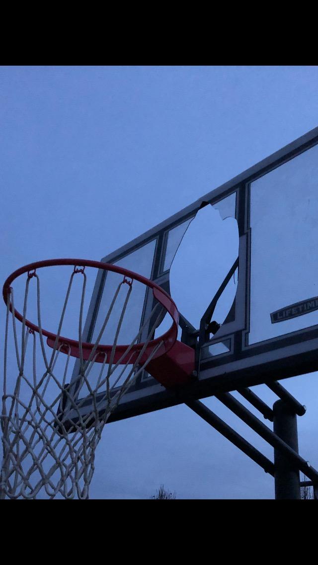 Lifetime Adjustable Basketball Hoop (54-Inch Polycarbonate) customer photo 1