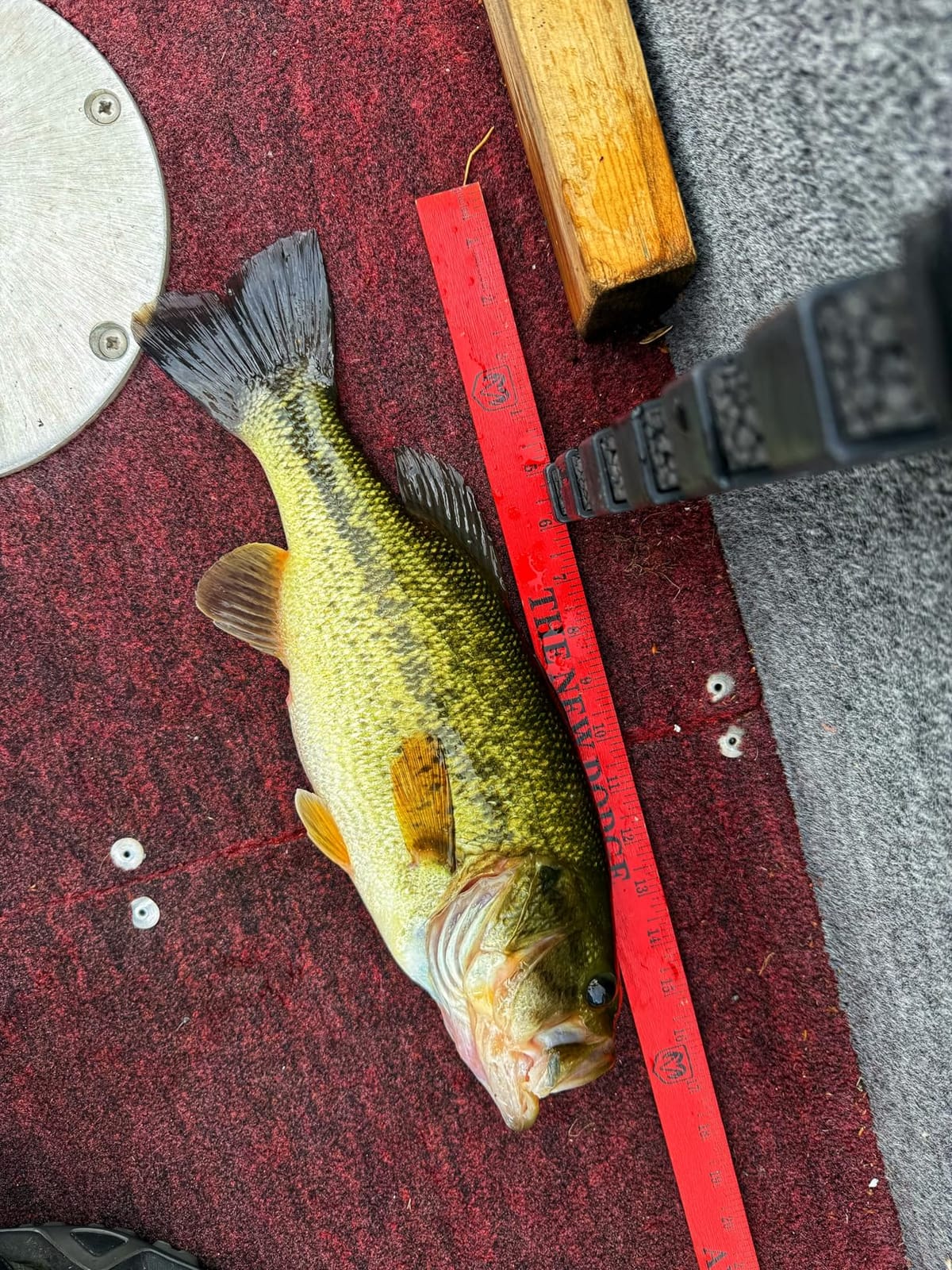 Berkley Trilene Big Game Monofilament Fishing Line customer photo 2