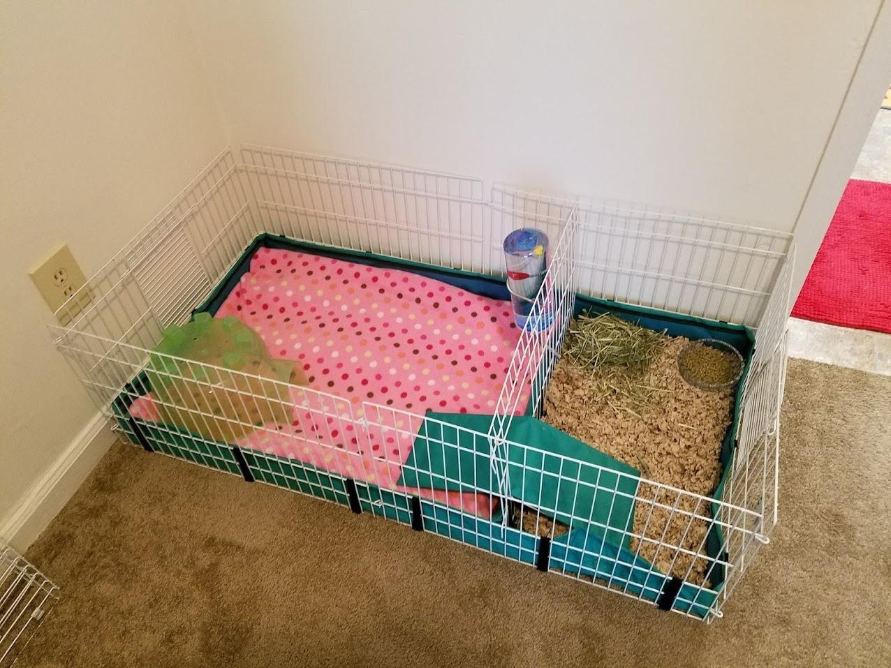 MidWest Homes for Pets Guinea Habitat Plus Cage, Includes Divider Panel and Hinged Top, Washable PVC Canvas Bottom, Expandable Small Animal Cage for Guinea Pigs, 171GHP customer photo 1