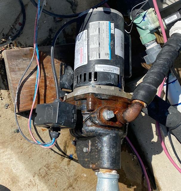 WAYNE SWS100 1 HP Cast Iron Shallow Well Jet Pump for Wells up to 25 ft. customer photo 2