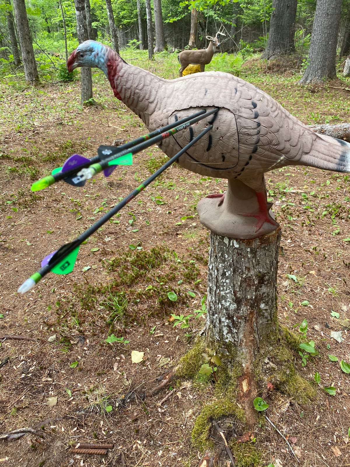 Rinehart Signature Tom Turkey 3D Archery Target, Replaceable Vital Insert customer photo 2