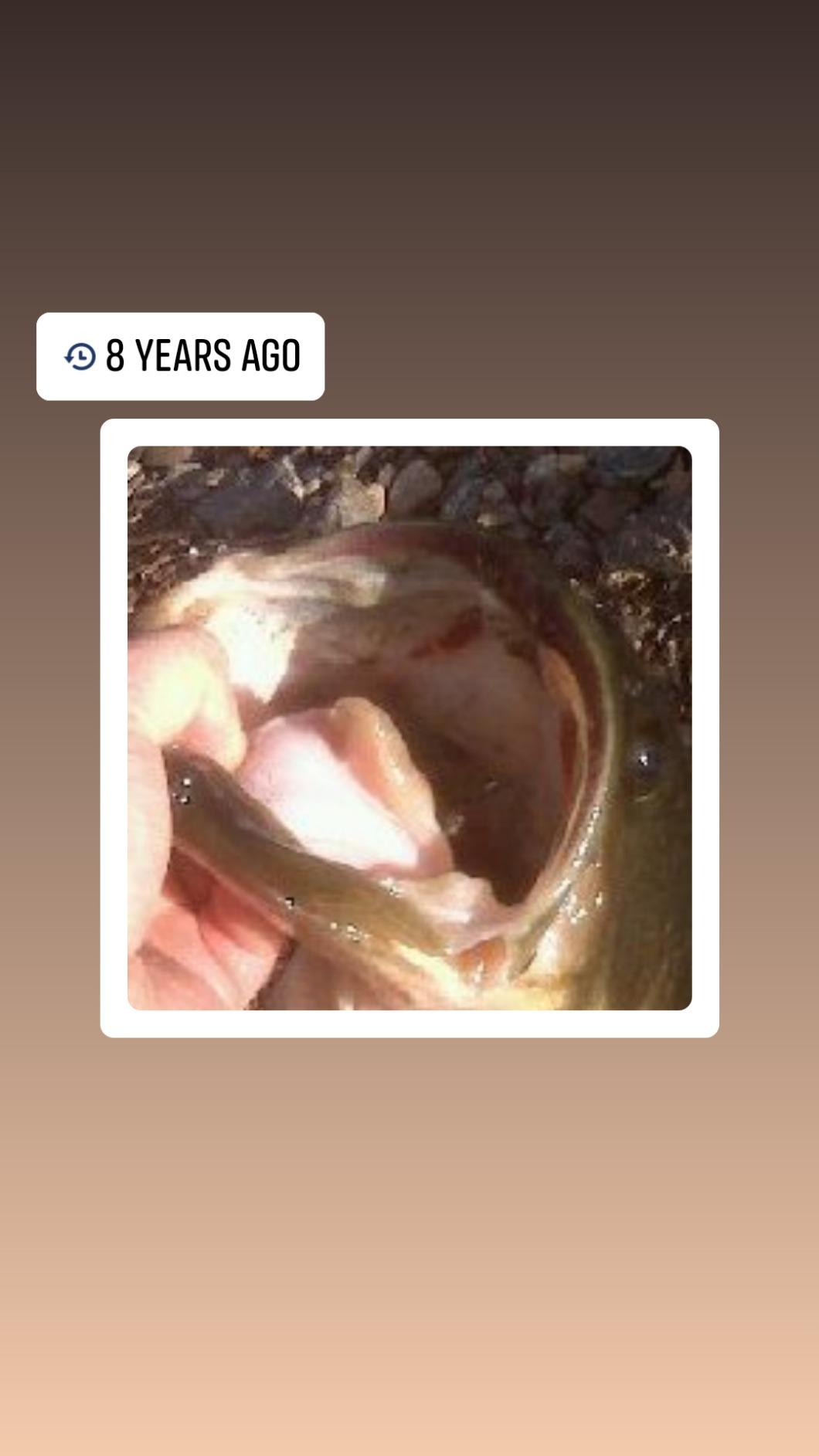 Shimano SYNCOPATE FG Spinning ReelsFishing customer photo 1