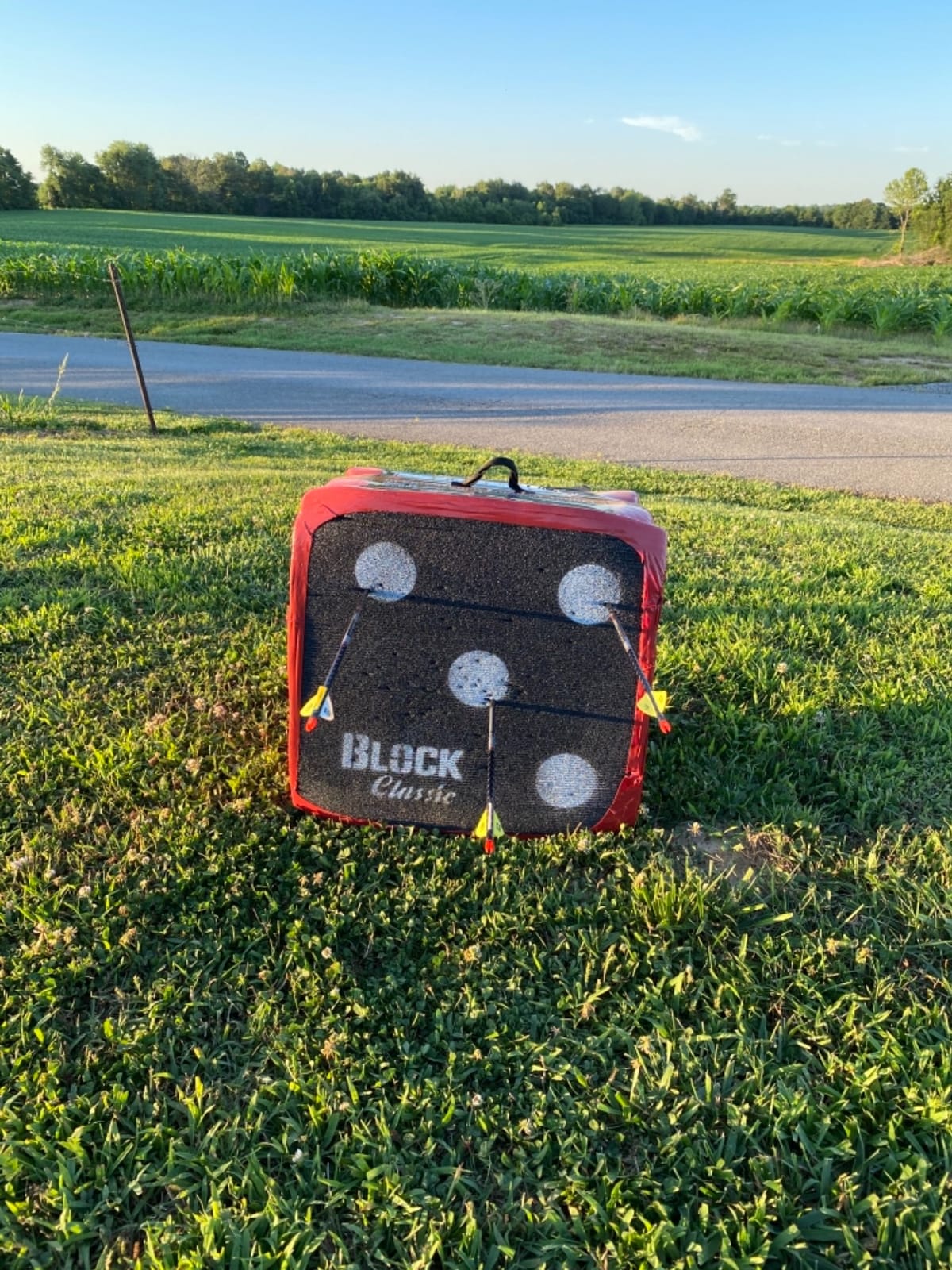 BLOCK Classic Layered Foam Archery Target, 18” x 18” x 13.5”, 2-Sided Shooting, Unique Open Layer Design Stops Field Points and Broadheads with Friction Not Force, Easy Arrow Removal, Top Carry Handle customer photo 1