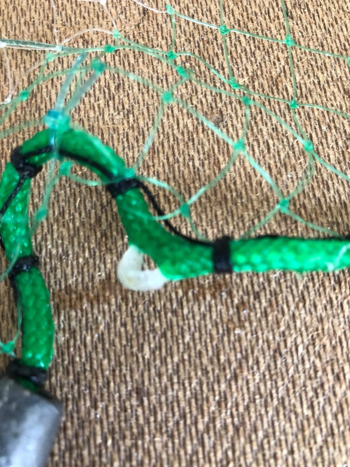 Betts Hi Tider 8-Feet Mono Cast Net with Lead Weight and 3/8-Inch Mesh customer photo 1