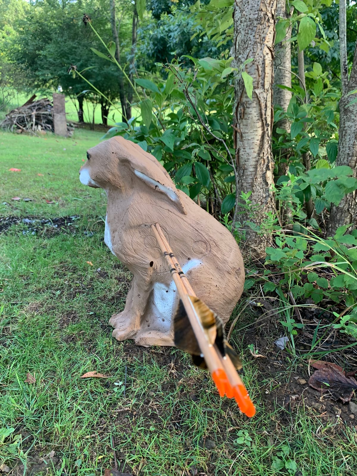 Delta McKenzie Back yd 3D Rabbit Target, Brown customer photo 2
