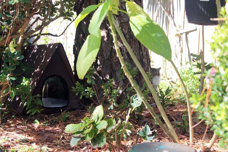 K&H Pet Products Outdoor Multi-Kitty A-Frame Heated Chocolate 35 X 20.5 X 20 Inches customer photo 1
