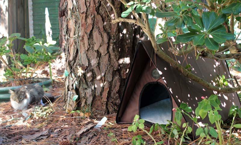 K&H Pet Products Outdoor Multi-Kitty A-Frame Heated Chocolate 35 X 20.5 X 20 Inches customer photo 2