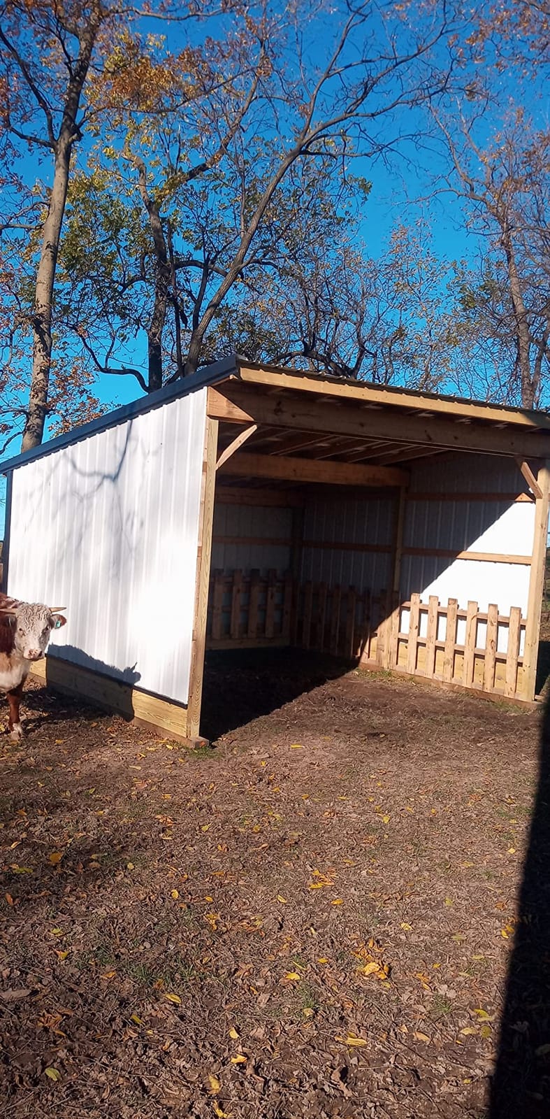 Little Giant Velocity, Aluminum Ladder, 18 ft Reach, 15417-001 customer photo 2