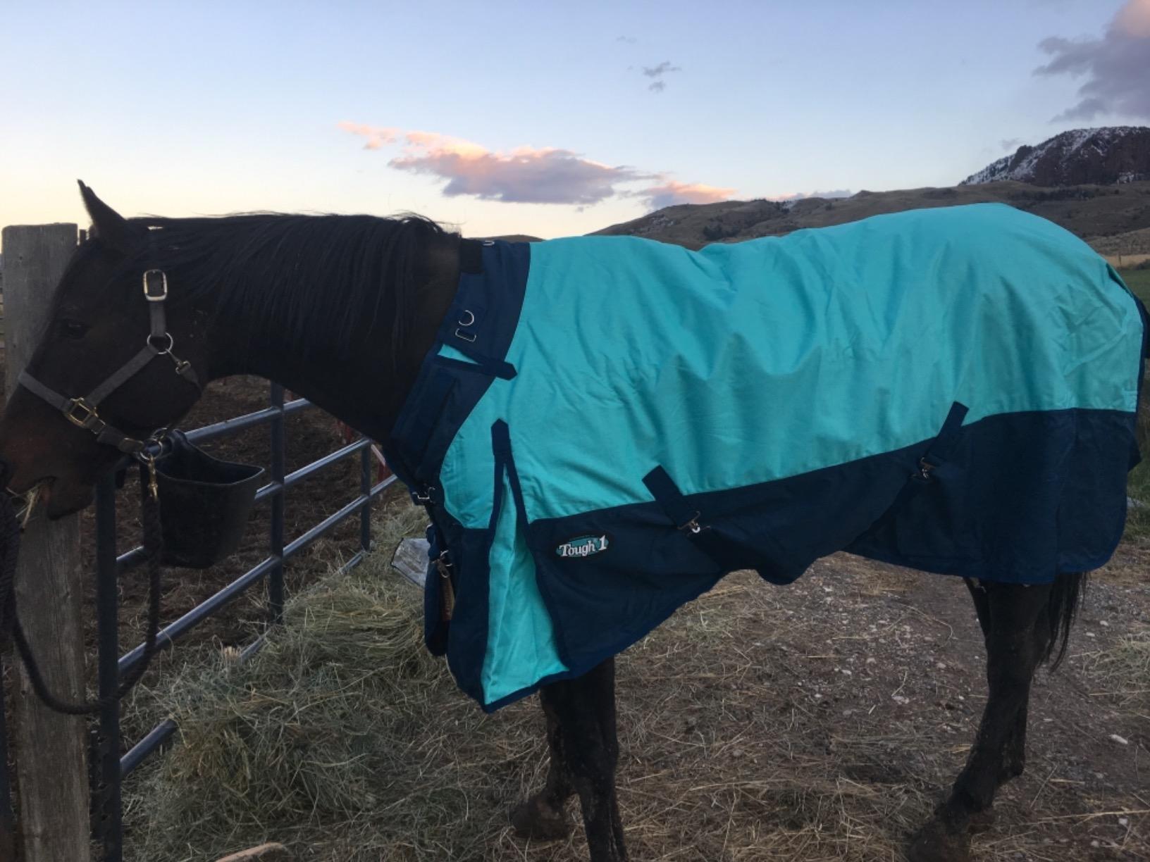 TOUGH1 1200D Turnout Blanket with SNUGGIT, 300-G, Burgundy, 78-in customer photo 2