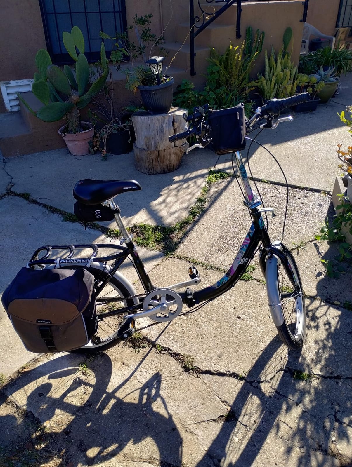 Schwinn Loop customer photo 1