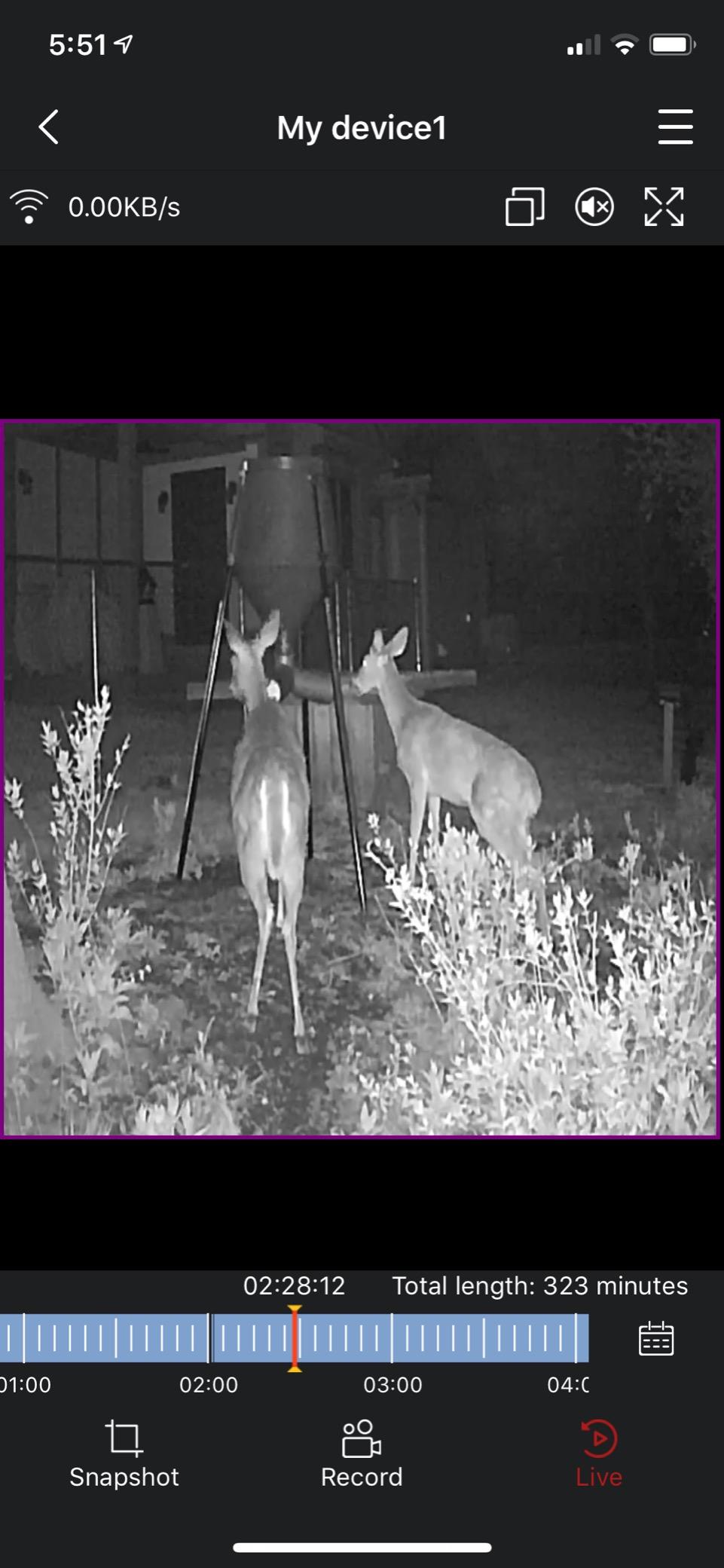 Boss Buck Gravity Deer Feeder for Game & Hunting, 200 lb Corn Capacity customer photo 2