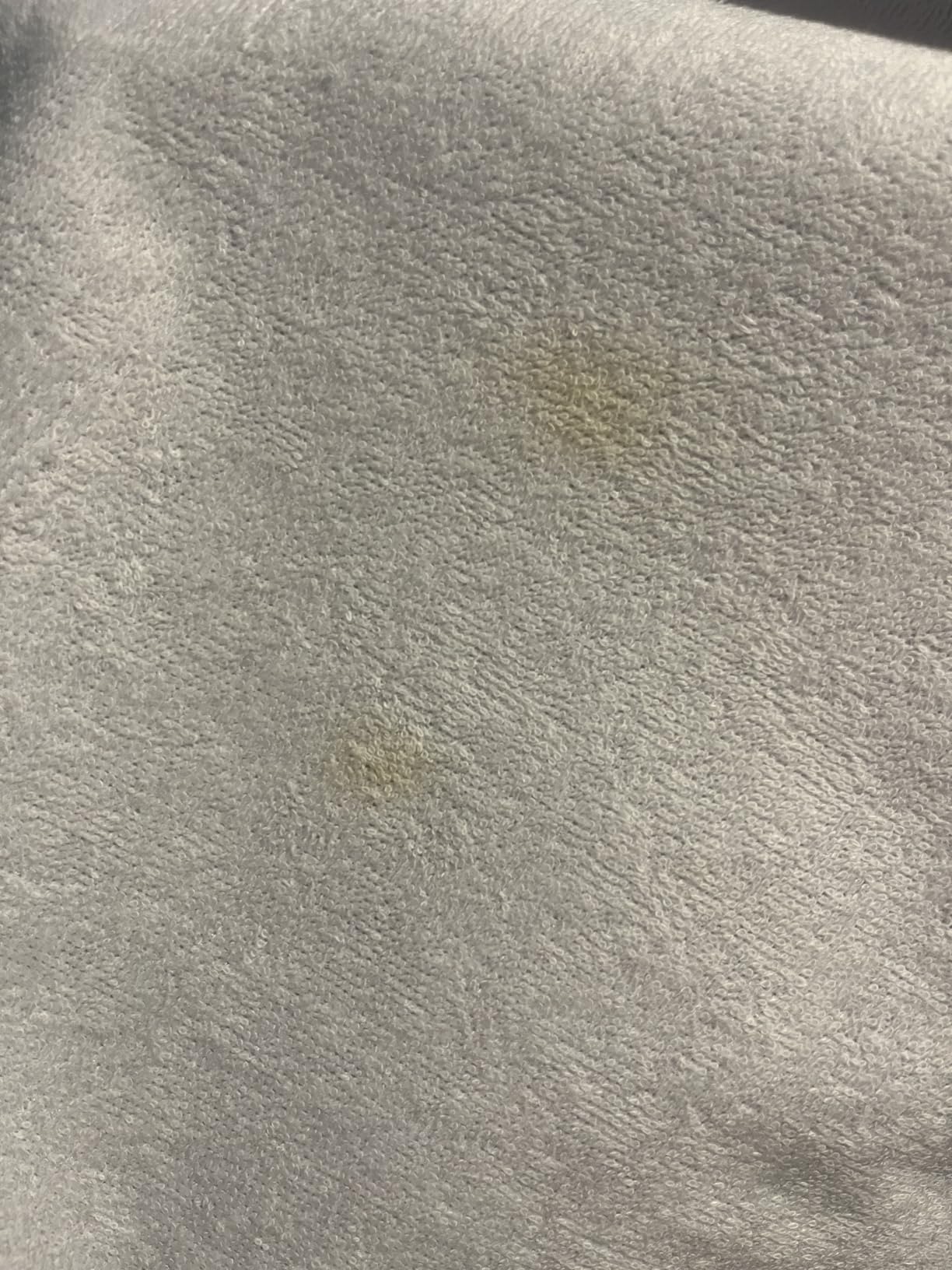 Queen (13-16 in. Deep) SureGuard Mattress Encasement - 100% Waterproof, Bed Bug Proof, Hypoallergenic - Premium Zippered Six-Sided Cover customer photo 2