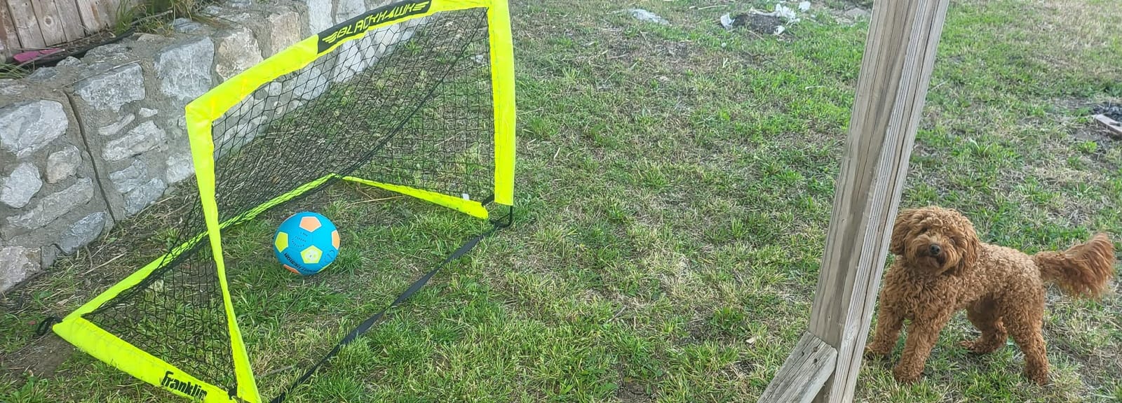 Franklin Sports Blackhawk Backyard Soccer Goal - Portable Pop Up Soccer Nets - Youth + Adult Folding Indoor + Outdoor Goals - Multiple Sizes + Colors customer photo 2