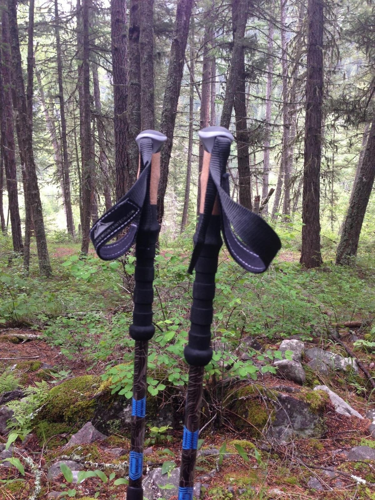 Cascade Mountain Tech Trekking Poles - Carbon Fiber Walking or Hiking Sticks with Quick Adjustable Locks customer photo 2
