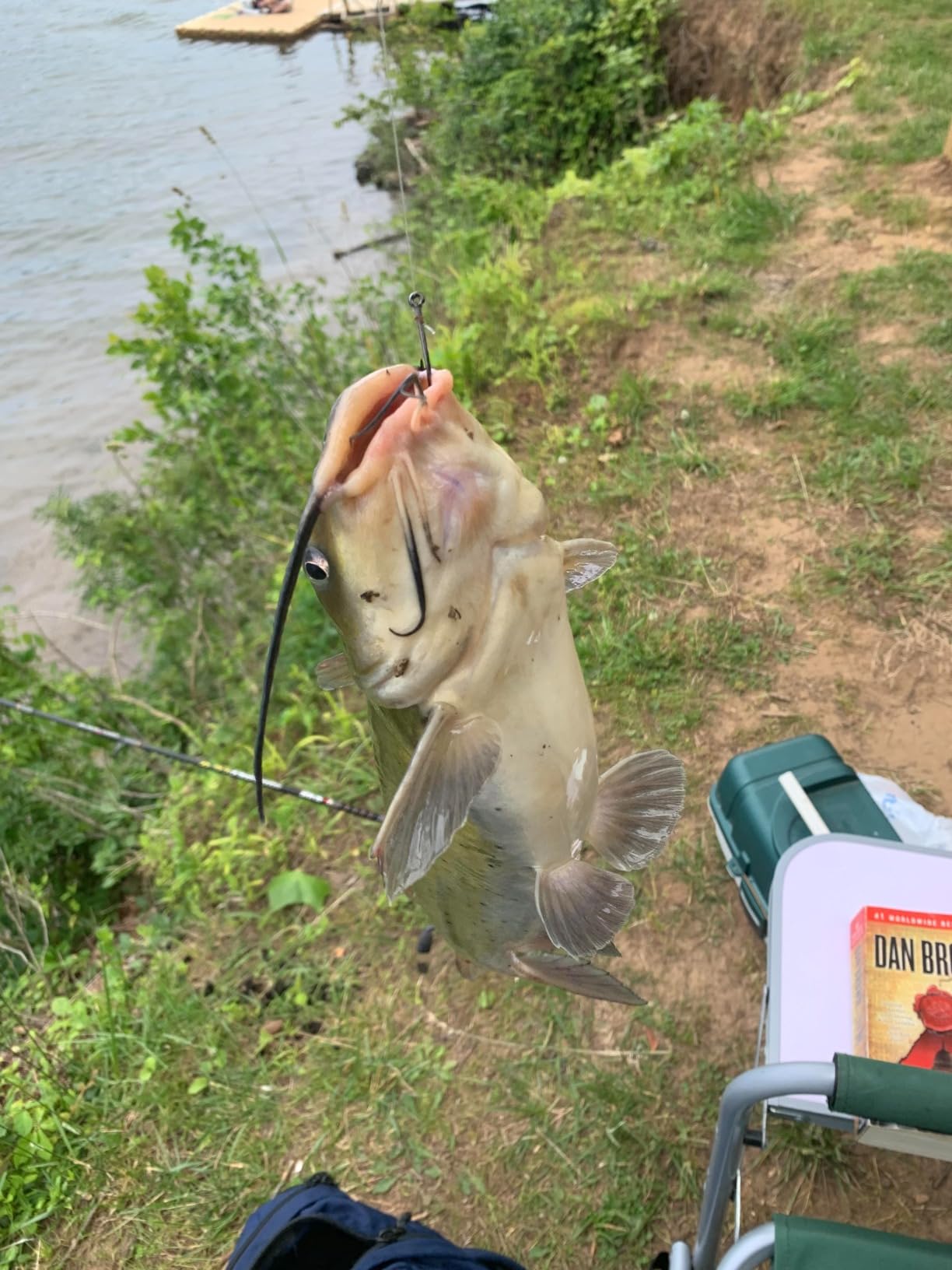 Ugly Stik 7’ Catfish Spinning Fishing Rod and Reel Catfish Combo, Ugly Tech Construction with Clear Tip Design, 7’ 2-Piece Moderate Fast Action Rod customer photo 1