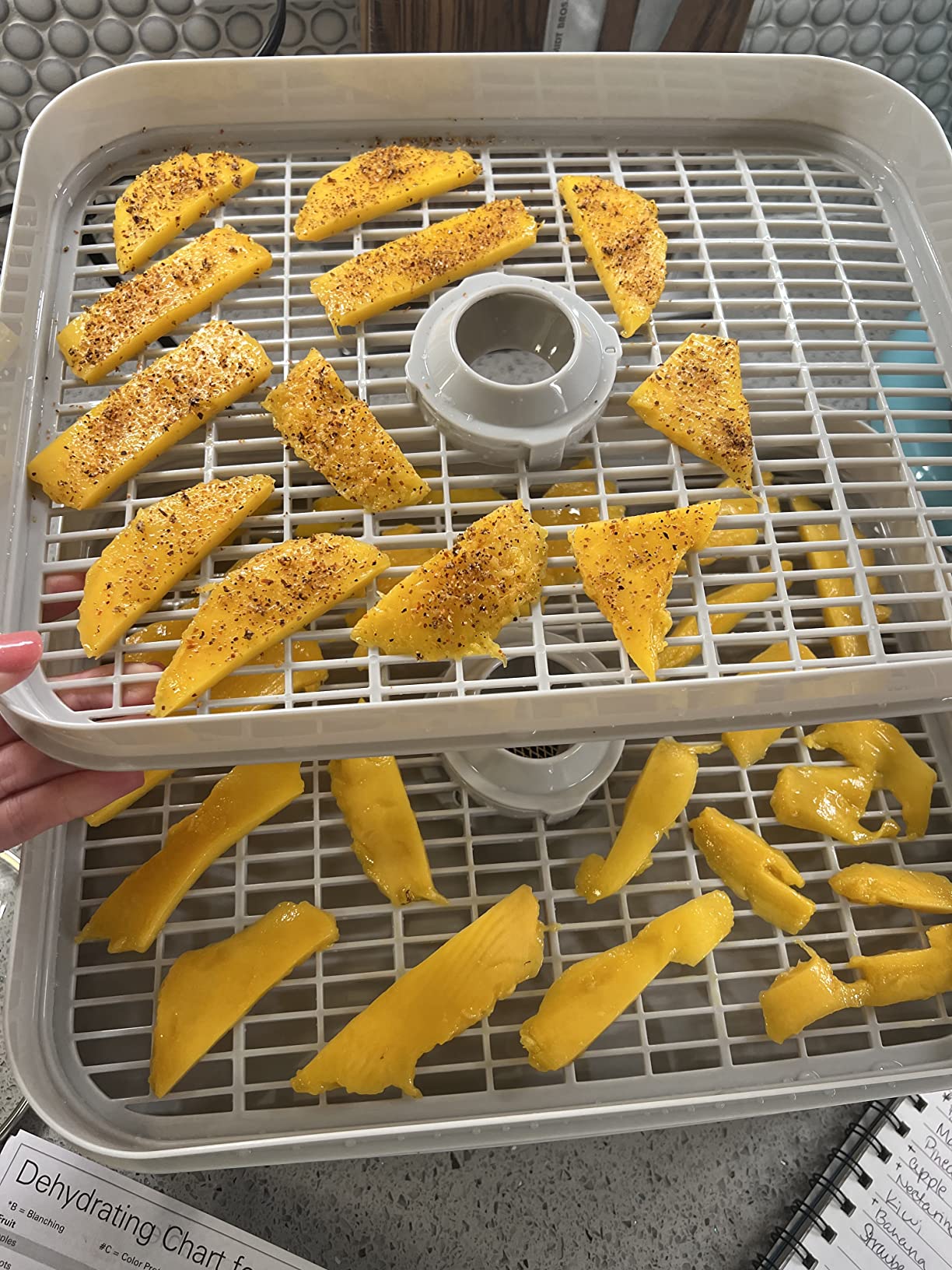 Hamilton Beach Digital Food Dehydrator for Fruit, Jerky, Vegetables & More customer photo 1
