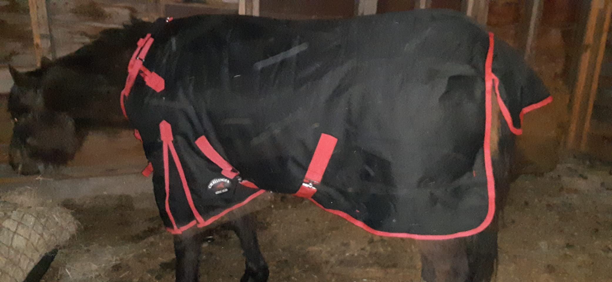Challenger 1200D Horse Turnout Waterproof Heavy-Weight Winter Blanket Black 551G customer photo 1