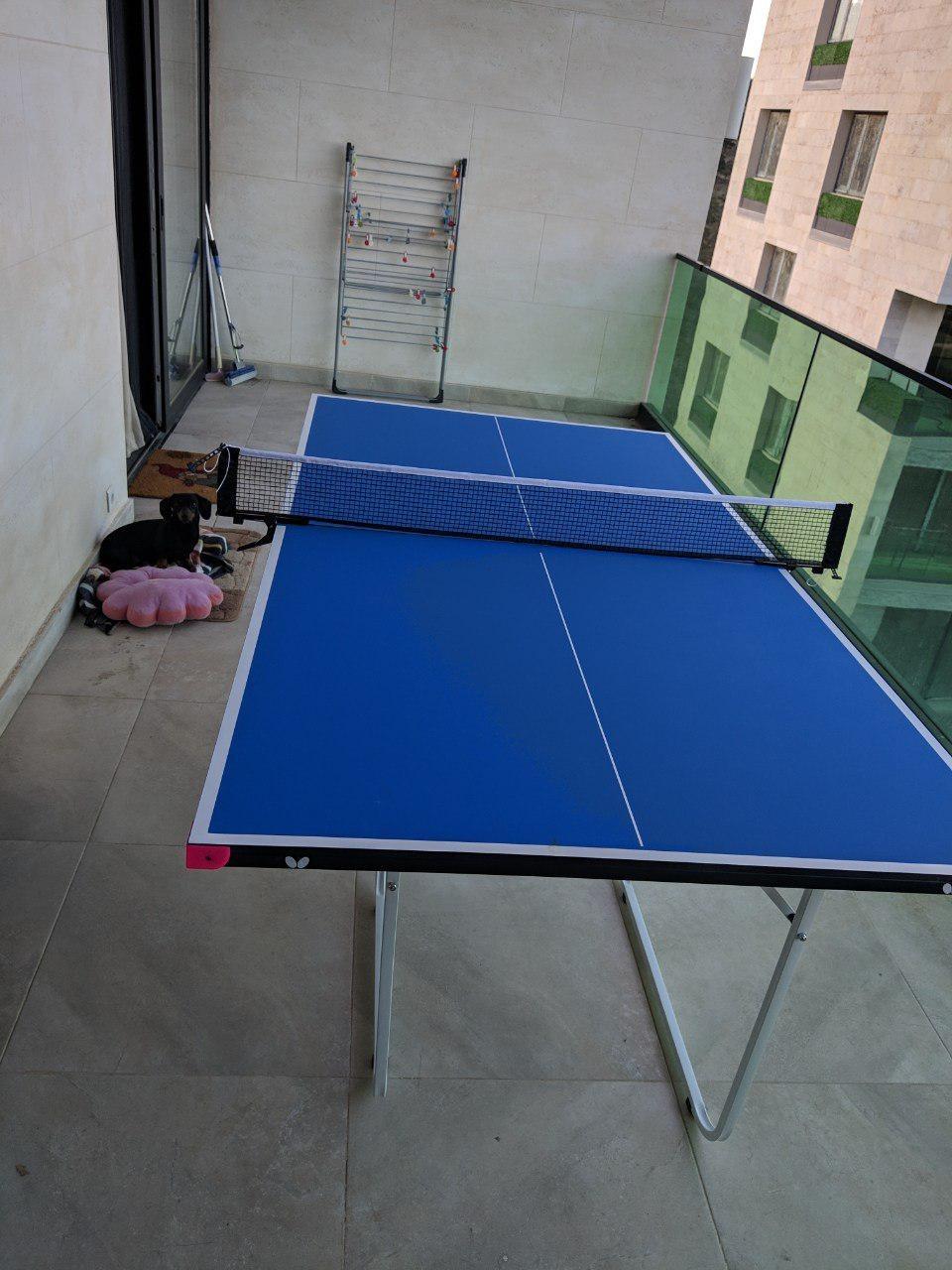 Butterfly Junior Ping Pong Table - 3/4 Size Table Tennis Table - Space Saver Game Table for Game Room - Regulation Height Ping Pong Table - Sturdy Frame - Ships Assembled with Net customer photo 2