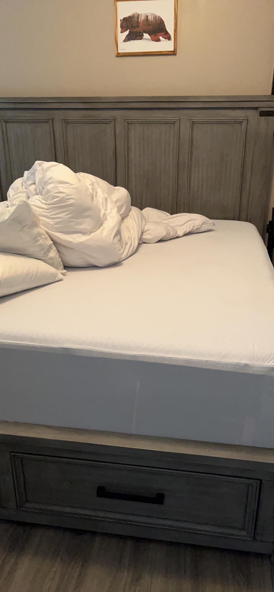 AllerEase Ultimate Allergy Protection and Comfort Zippered Mattress Protector Queen, White customer photo 1