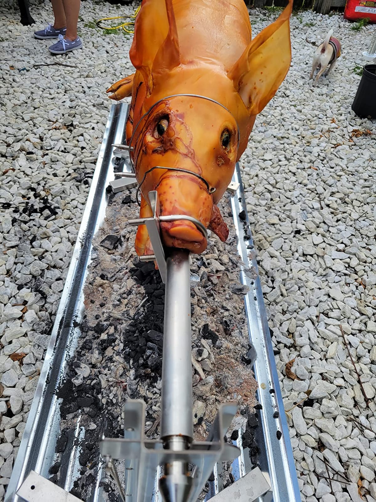 Ash & Ember 13W Tripod Rotisserie Roaster Stand, Rated 85 LB, Adjustable Height Open Fire Roaster, Round Stainless Steel Spit Rod, Electric BBQ Grill Stand for Pork, Chicken, Lamb, or Goat customer photo 2