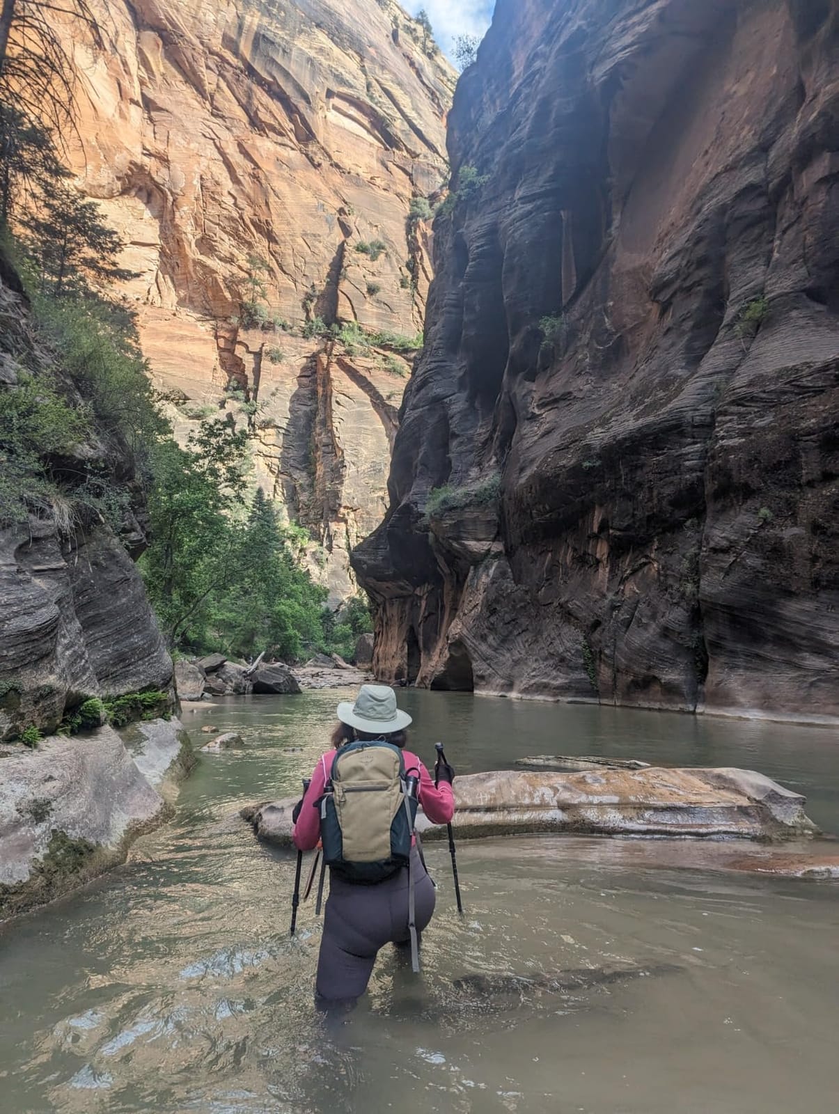 100% Carbon Fiber Trekking Poles by USA Brand - Ultra Strong Lightweight Collapsible Hiking Poles with Cork and EVA Foam Grips & Quick Adjustable Flip Locks customer photo 2