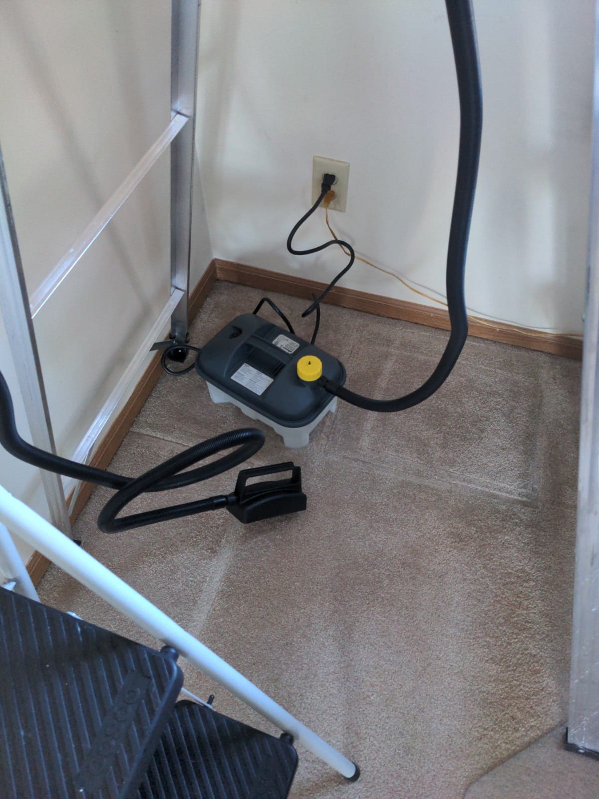 Wagner Spraytech 0282036 715 Power, Chemical Free Remover, Two Steam Plates Included, Long Run Time, Lightweight Design, Wallpaper Steamer customer photo 1