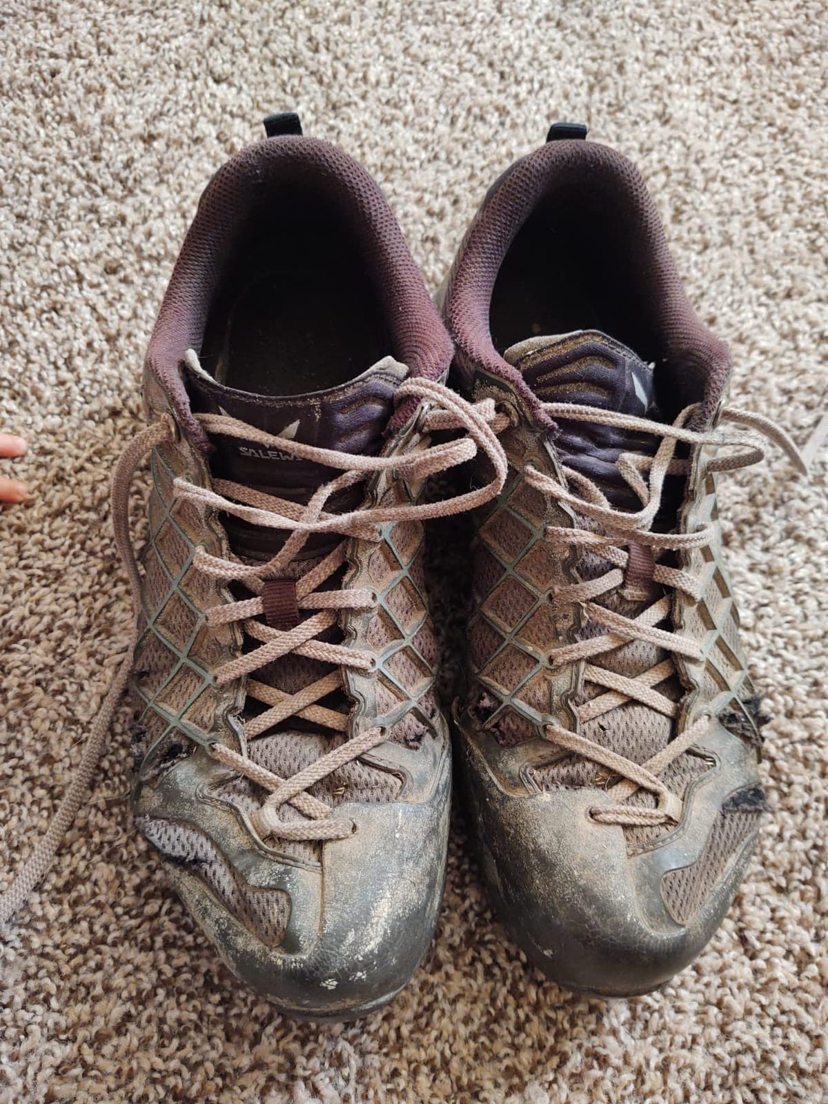 Salewa Men's Wildfire GTX Approach Shoes customer photo 2