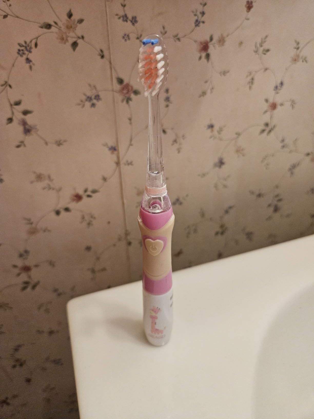 SEAGO Kids Electric Toothbrush, Timer, LED Light, AAA-Powered, 4 Heads customer photo 2