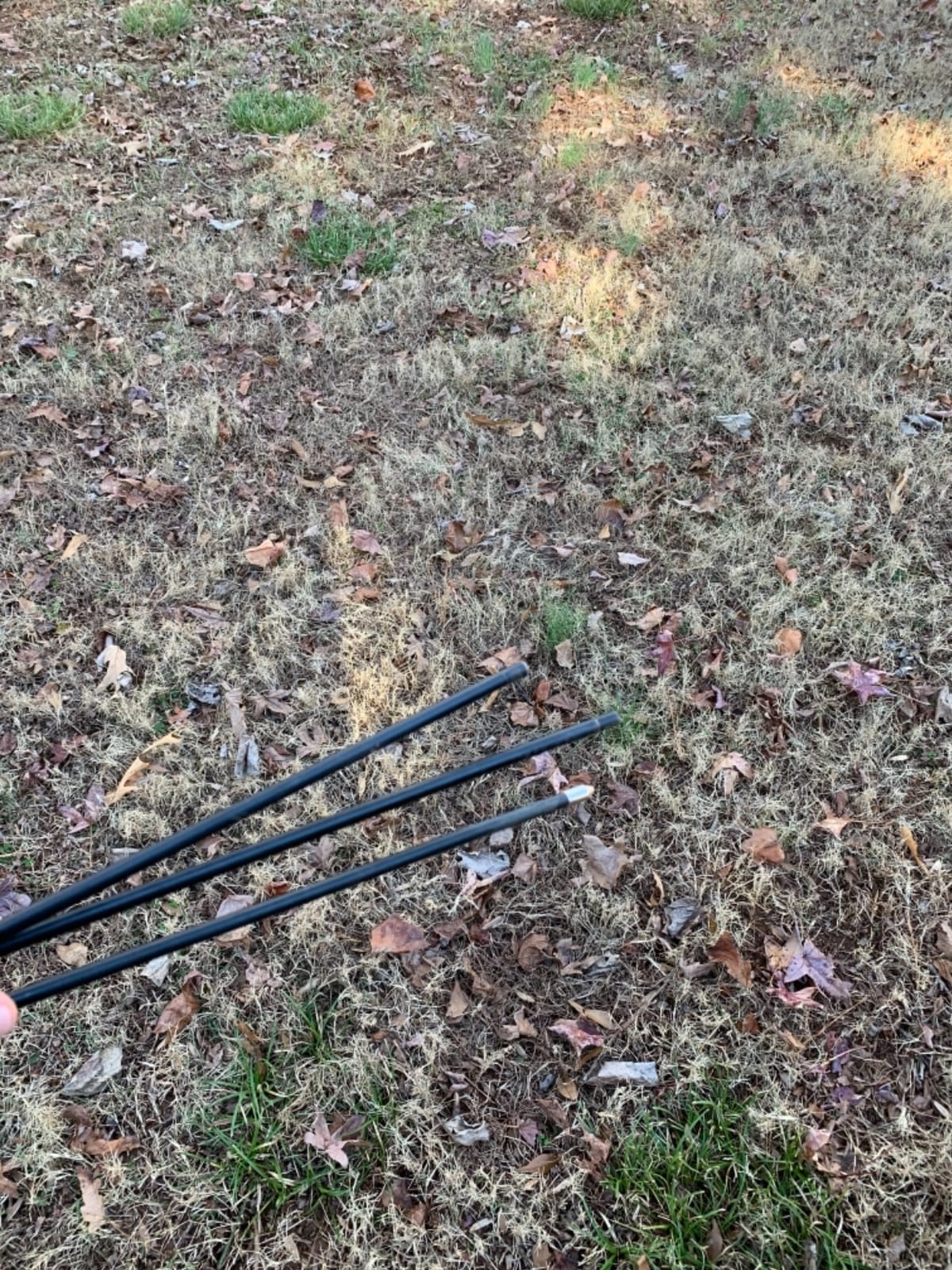Elong Fiberglass Arrows Archery 24 26 28 30Inch Target Shooting Practice Safetyglass Recurve Bows Suitable for Youth Children Woman Beginner customer photo 2