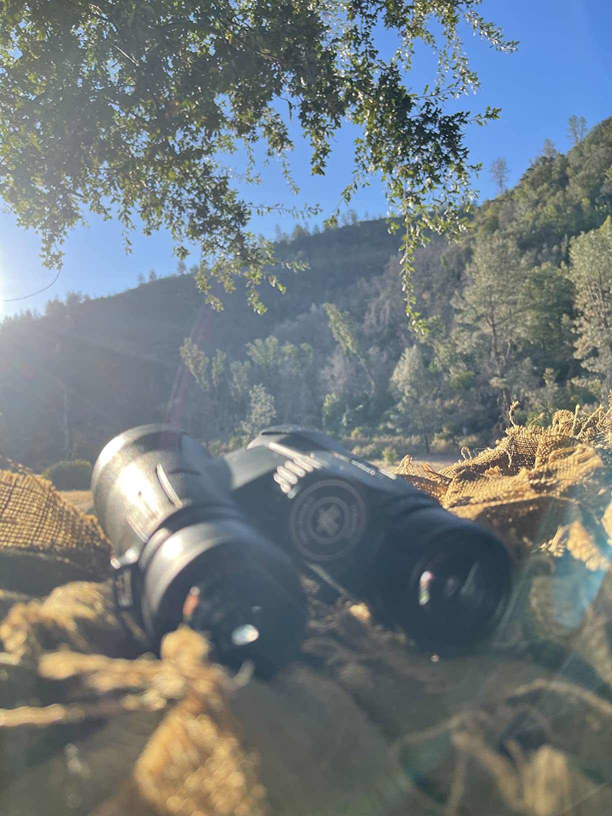 Vortex Viper HD Roof Prism Binoculars 12x50 customer photo 2