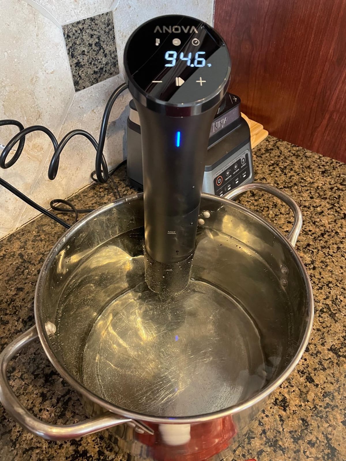 Anova Culinary Sous Vide Precision Cooker Nano 2.0 customer photo 2
