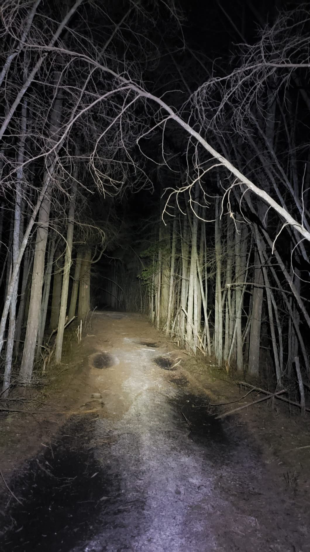 Nitecore NU30 500 Lumen LED Rechargeable Headlamp with White and Red Beams customer photo 1
