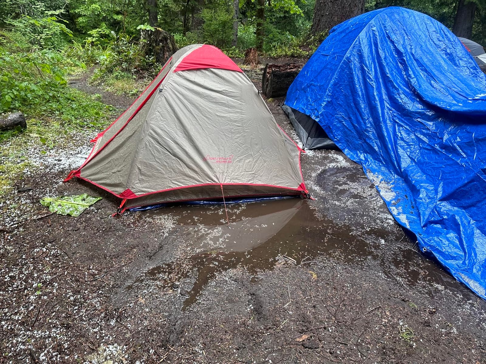 Clostnature 1/1.5/2/3/4/6 Person Lightweight Backpacking Tent, Camping Tent | Aluminum Pole, PU 5000, Easy Setup Tent, Ultralight, Durable, Waterproof, Compact, Freestanding, Two Doors, Hiking, Outdoor customer photo 1