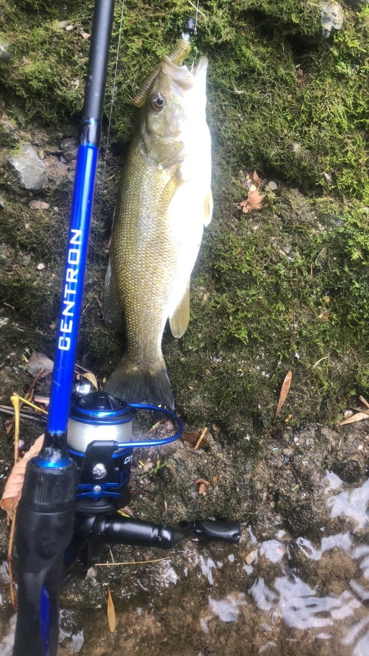 KastKing Centron Fishing Rod and Reel Combo, Baitcaster & Spinning Combo customer photo 2