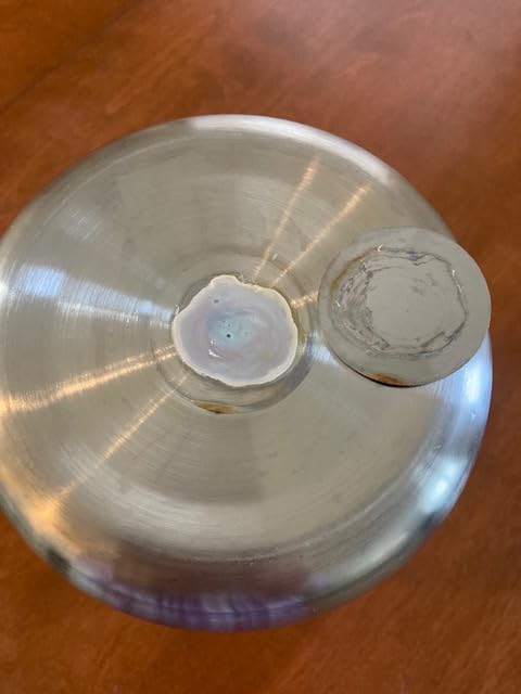 Stainless Steel Yogurt Maker with 1 Quart Glass Jar and Complete Recipe Book to Make 12+ Easy Homemade Dairy Free and Milk Yogurts customer photo 1